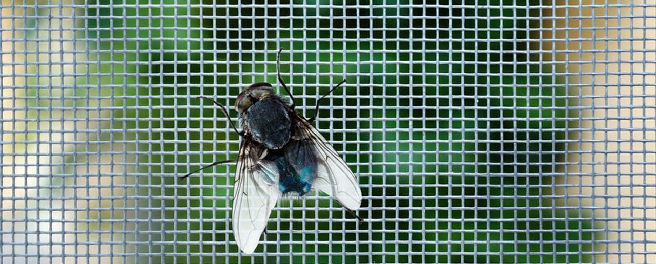 Wat is een goede hordeur tegen insecten – Blog