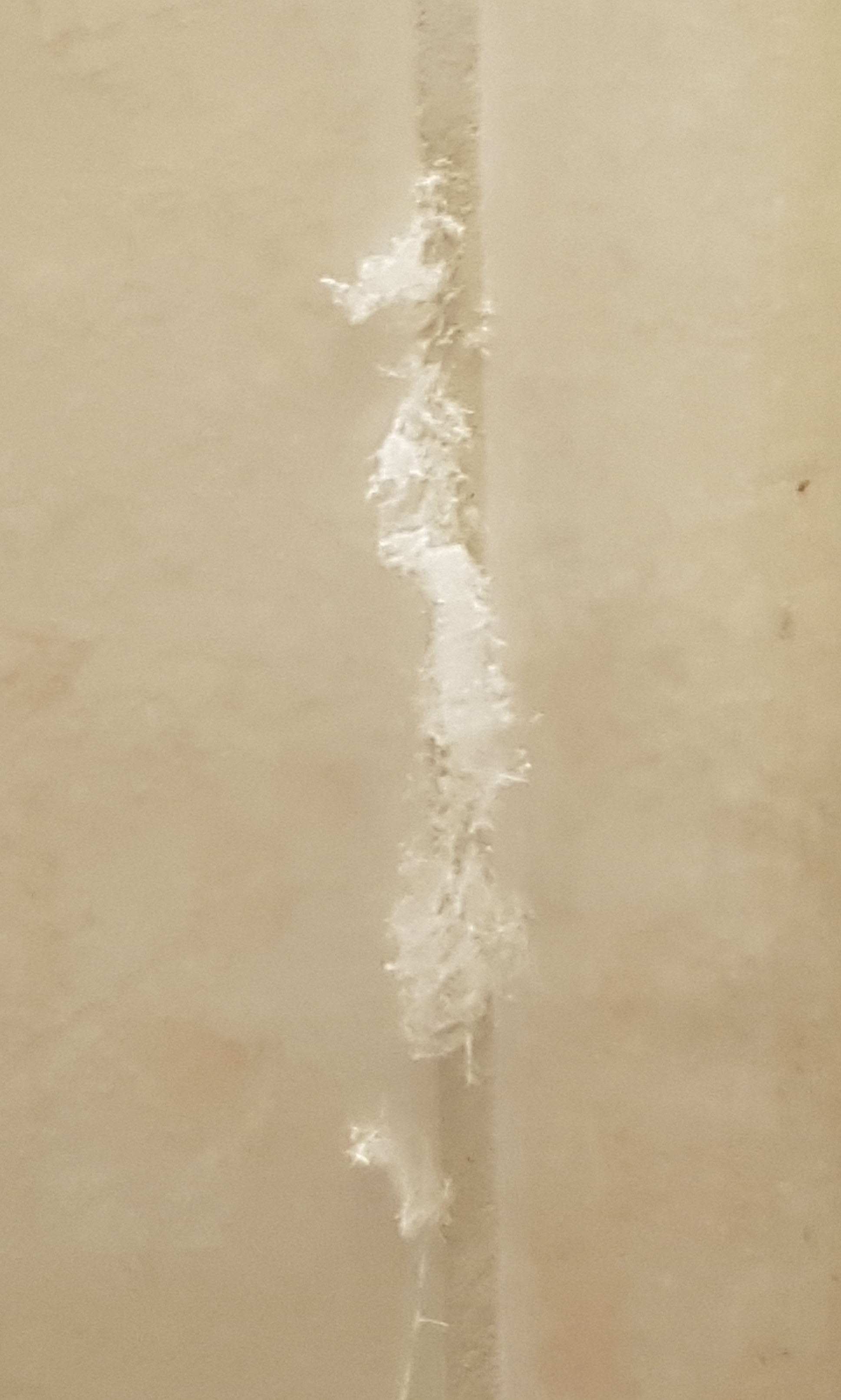 witte pluis op voegen in badkamer is dit schimmel of iets anders goeievraag