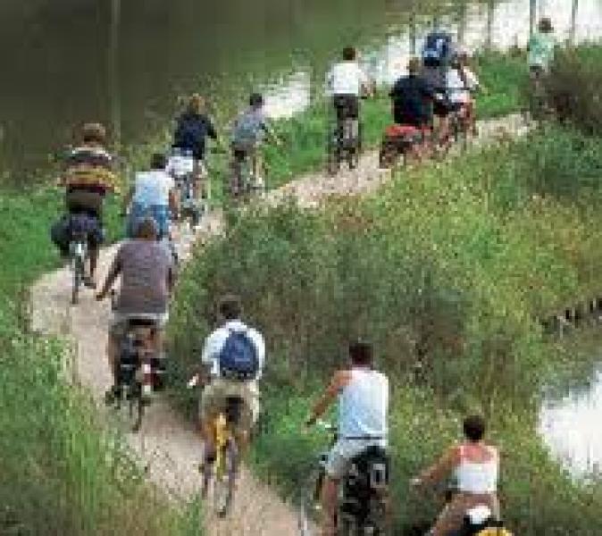 Fietsverhuur startpagina - fiets huren fietsverhuur bedrijven