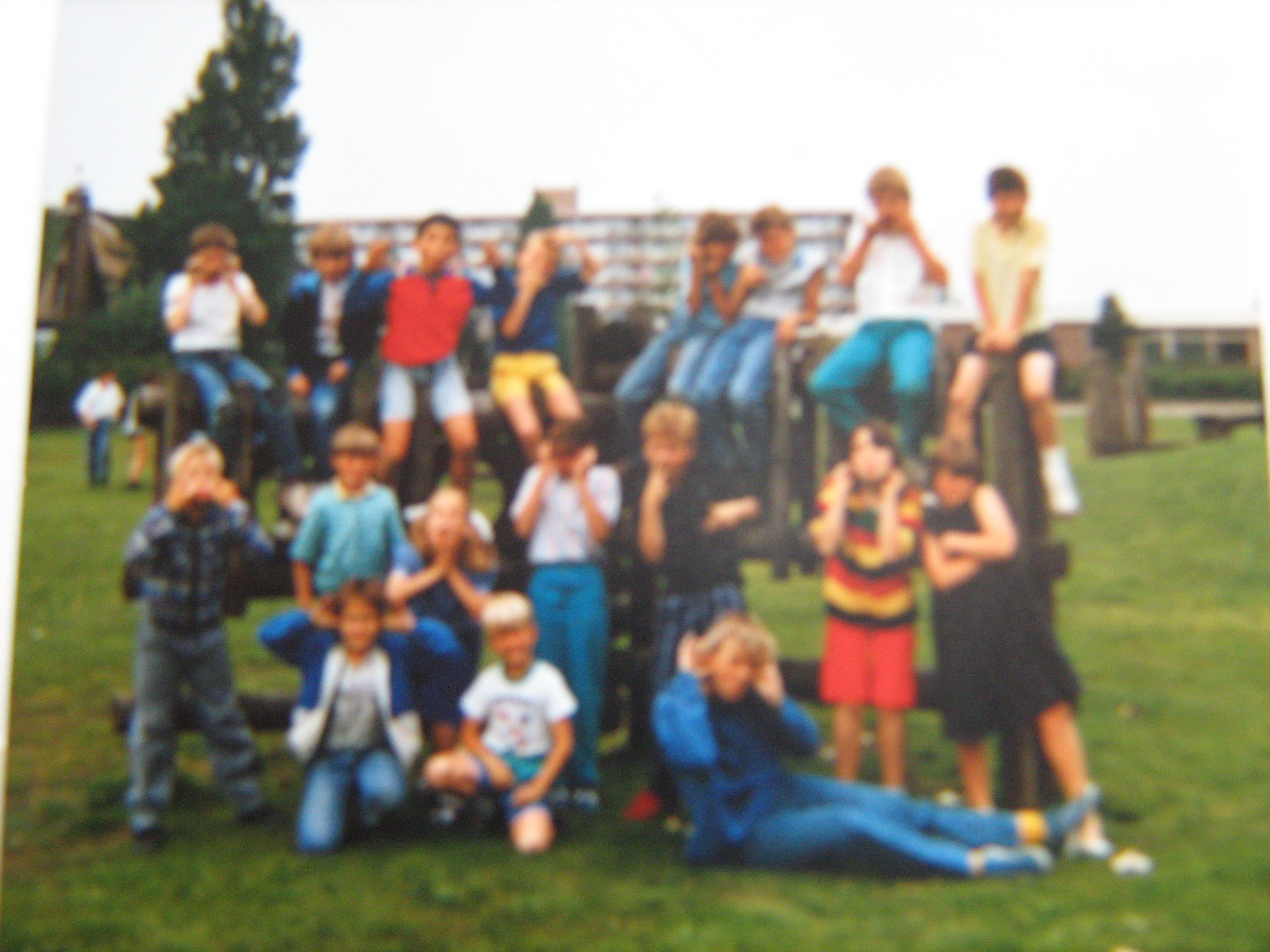 De Windroos foto