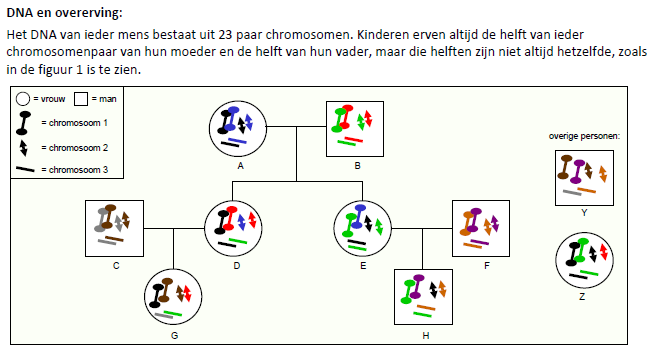 Hoeveel kinderen van een en dezelfde moeder (maar met verschillende