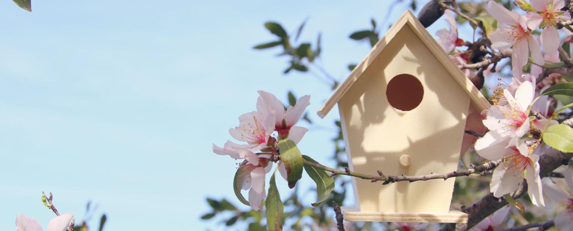 Zo maak je zelf vogelhuisje – Startpagina