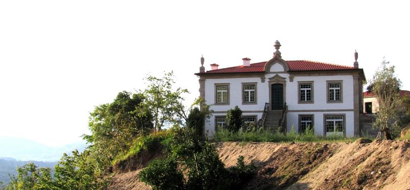 Druivenpluk-wijn-portugal